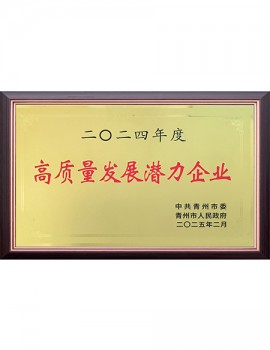 2024年度高質(zhì)量發(fā)展?jié)摿ζ髽I(yè)