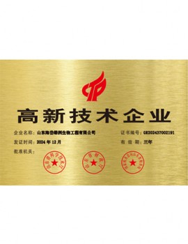 高新技術(shù)企業(yè)