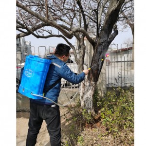 搶救被蛀蟲(chóng)危害嚴(yán)重的大樹(shù)
