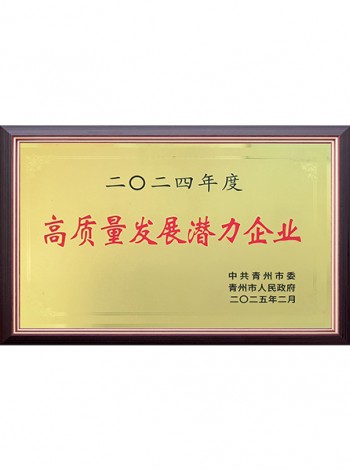 2024年度高質(zhì)量發(fā)展?jié)摿ζ髽I(yè)