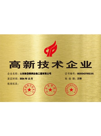 高新技術(shù)企業(yè)