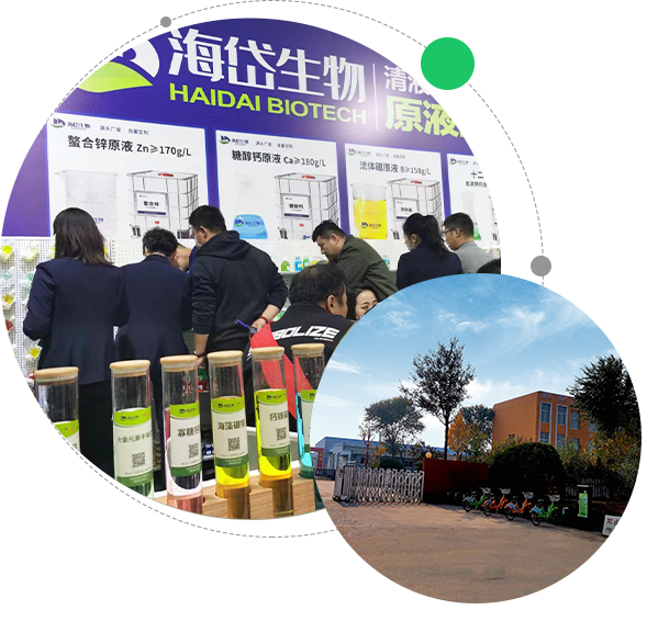 Shandong Haidailvzhou Biology Engineering Co., Ltd.