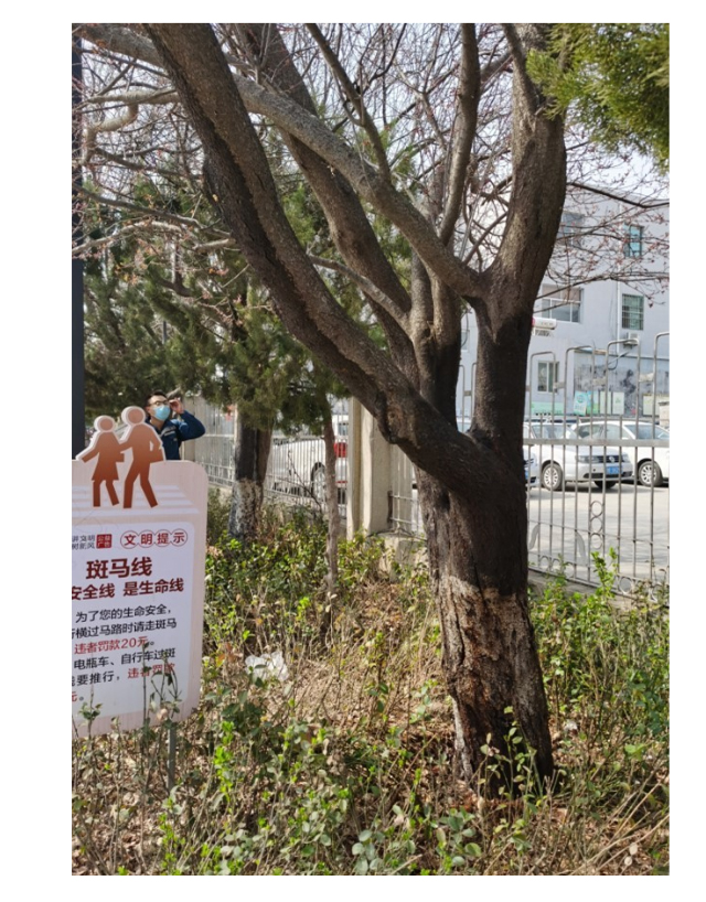 樹皮穿透劑 (9).jpg